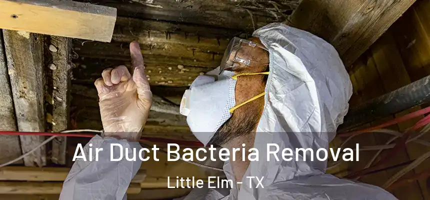  Air Duct Bacteria Removal Little Elm - TX