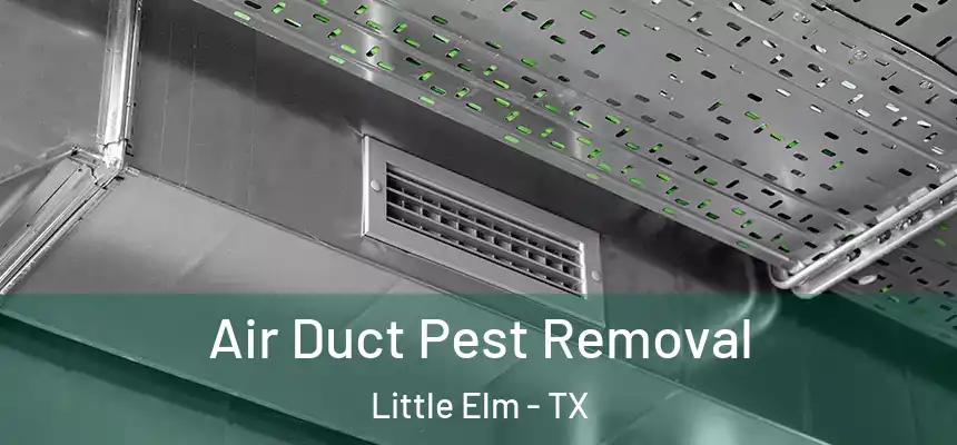  Air Duct Pest Removal Little Elm - TX