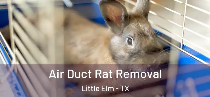  Air Duct Rat Removal Little Elm - TX