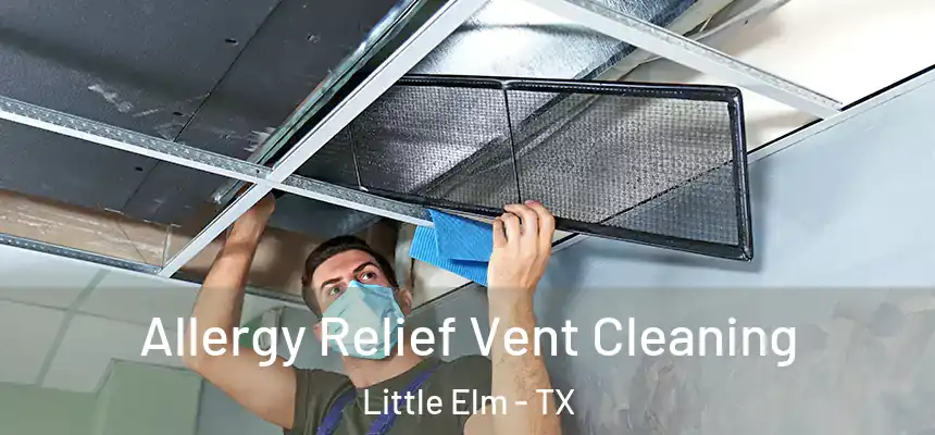  Allergy Relief Vent Cleaning Little Elm - TX