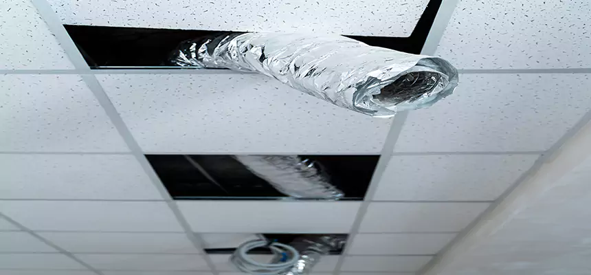 Affordable HVAC Sanitizing After Pest Removal in Little Elm