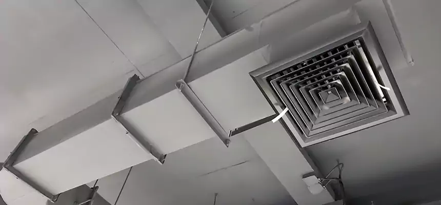 Our Pest Removal From Ducts Services in Little Elm, TX