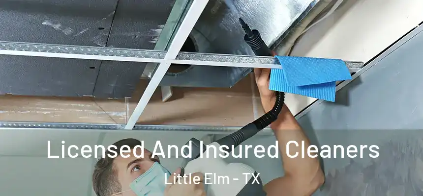  Licensed And Insured Cleaners Little Elm - TX