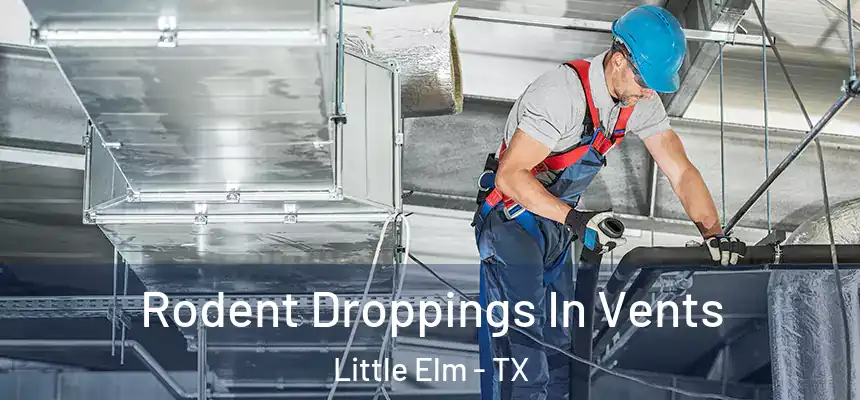 Rodent Droppings In Vents Little Elm - TX