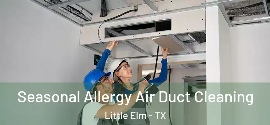 Seasonal Allergy Air Duct Cleaning Little Elm - TX