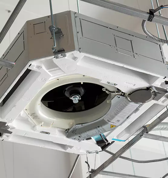 Professional Roof Vent Lint Removal Little Elm, TX