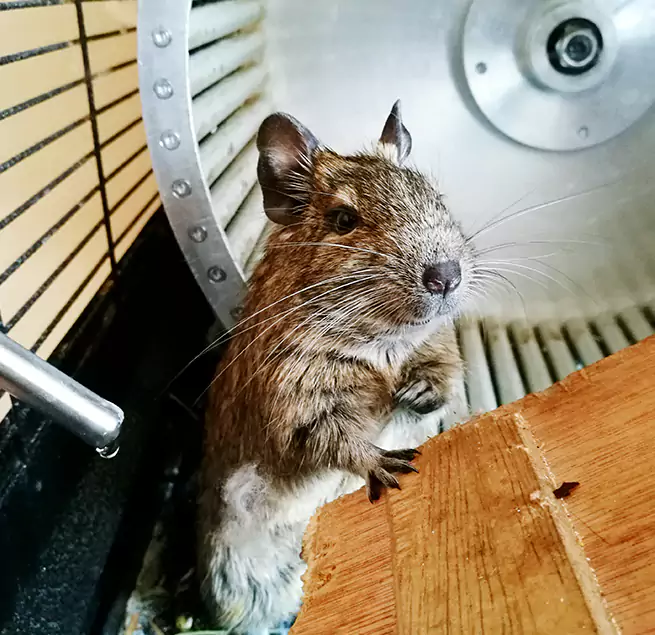 Why Homeowners & Businesses Trust Us Little Elm, TX