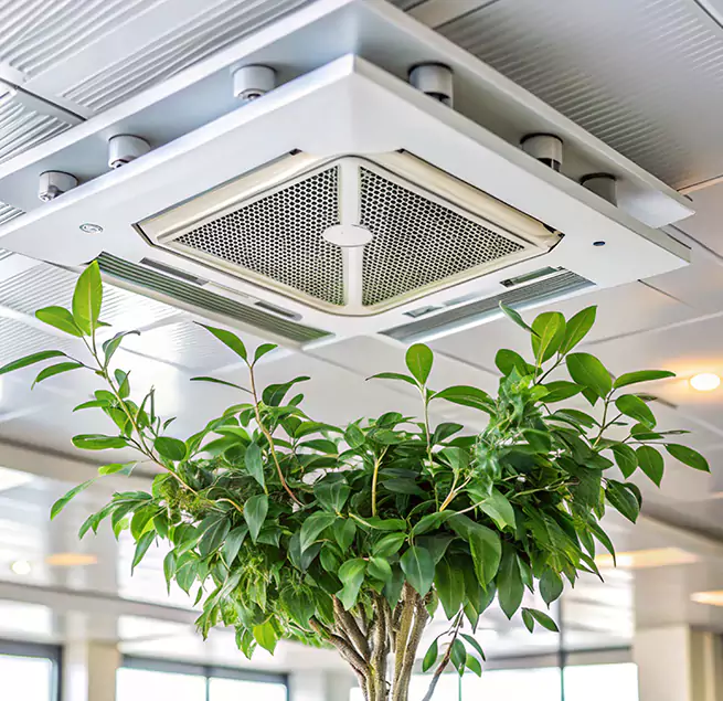 Why Homeowners & Businesses Trust Us in Little Elm, TX?